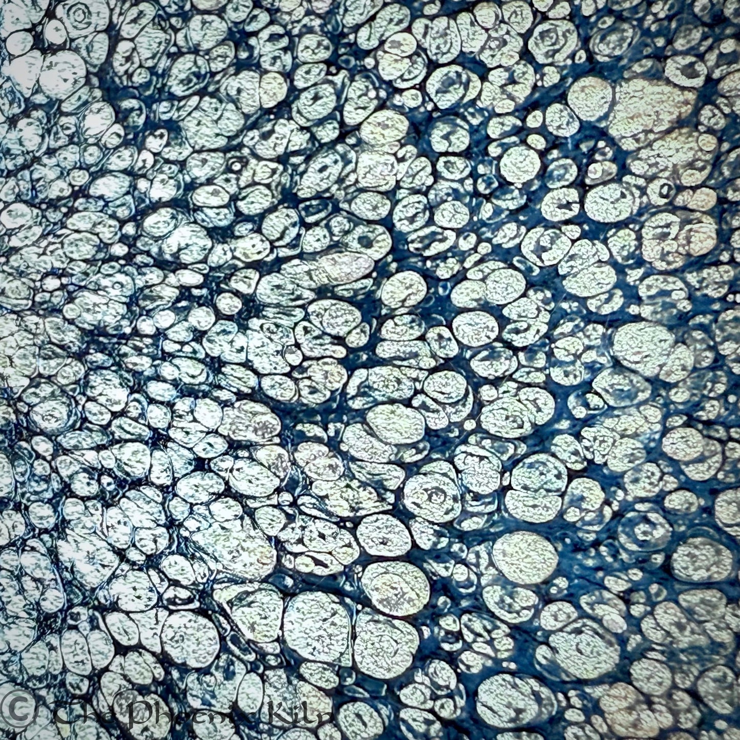 Starveil Large Edition Oil-spot Jian Zhan (CSV 2504-12-11L)