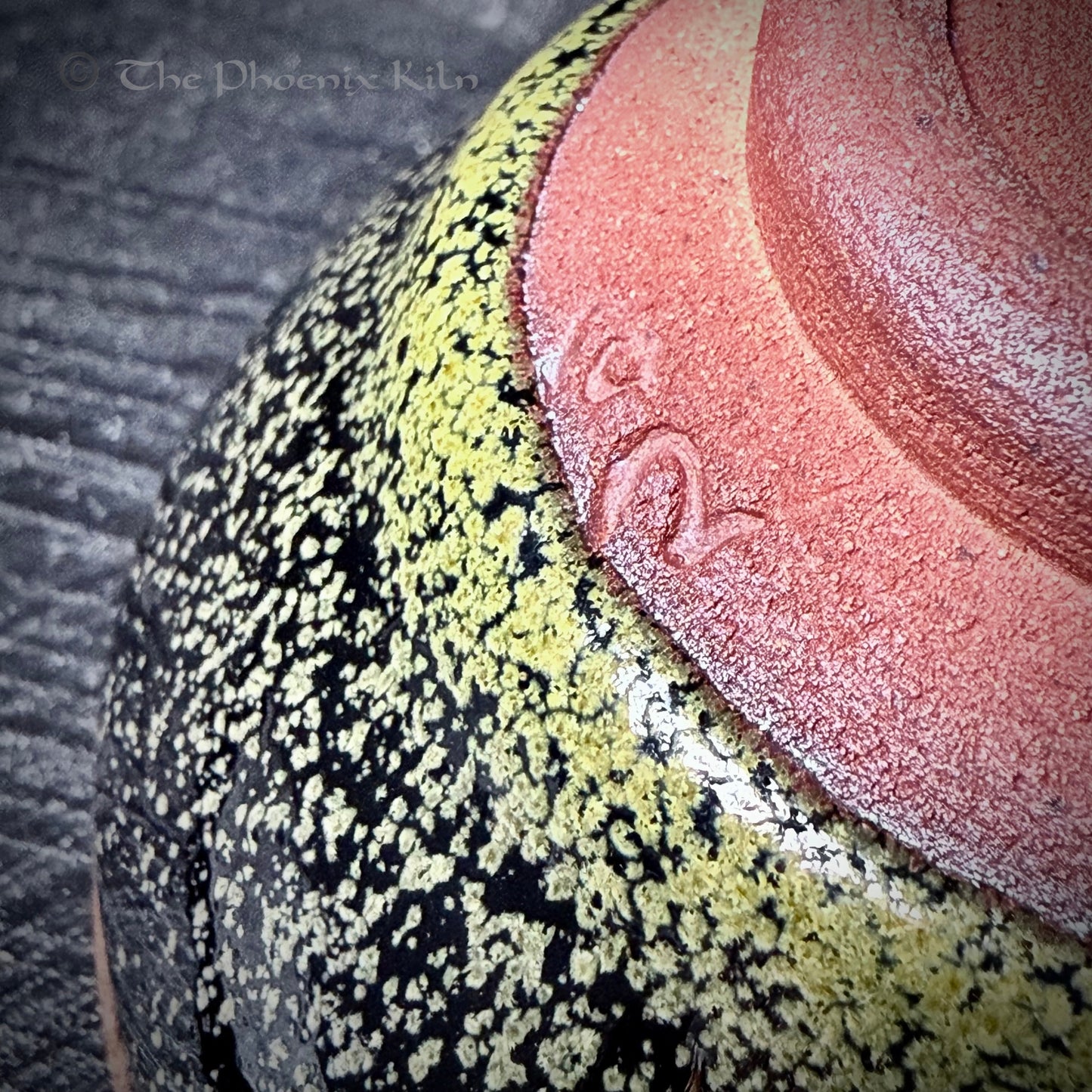 DewDaisy – Dragon Kiln Wood-fired Jian Zhan (70ml) (FDD 2504-15-01)