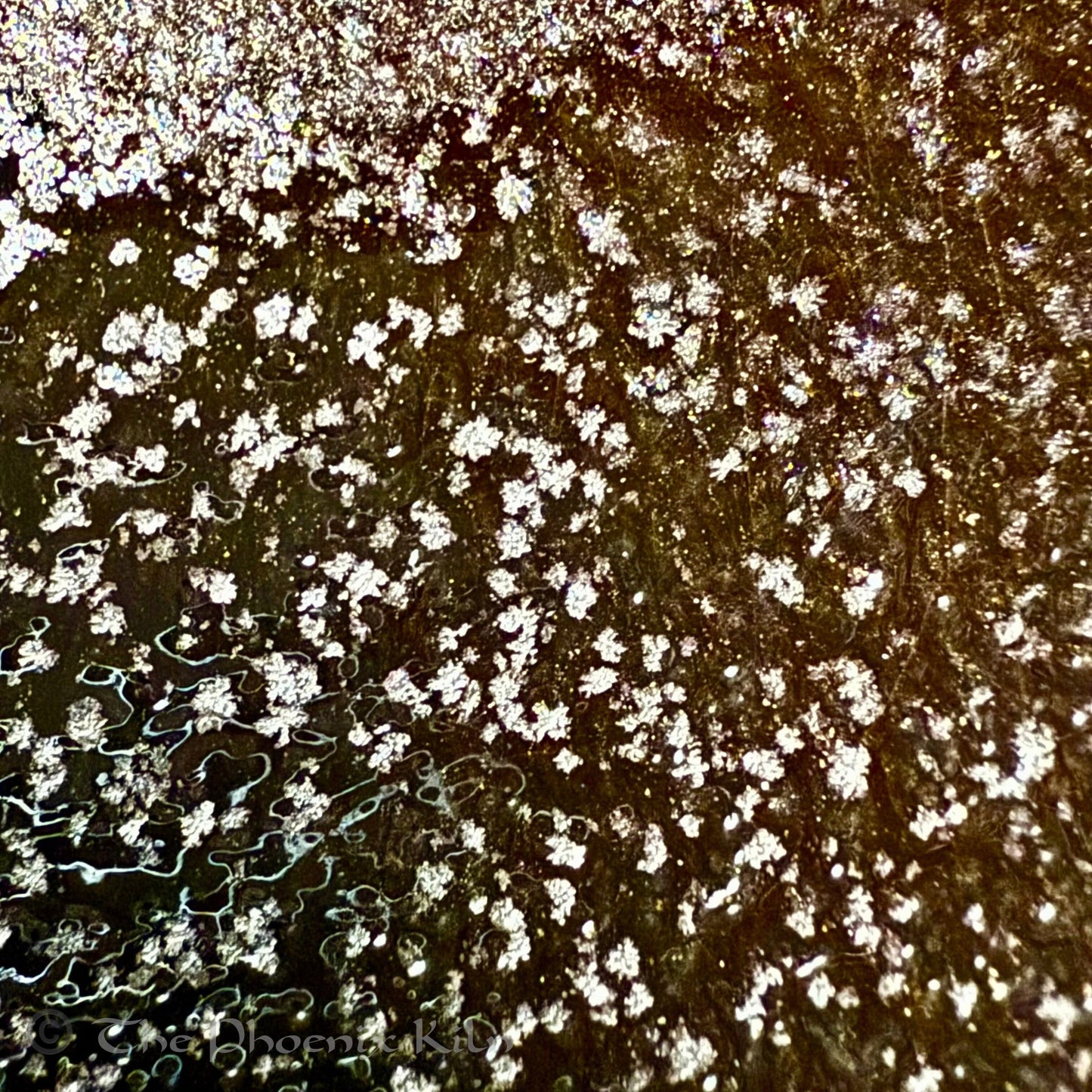 Asterism – Skyward Dragon Kiln Wood-Fired Masterpiece 
(SAS 2509-10-09)